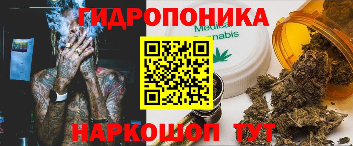 Марихуана план Великий Новгород